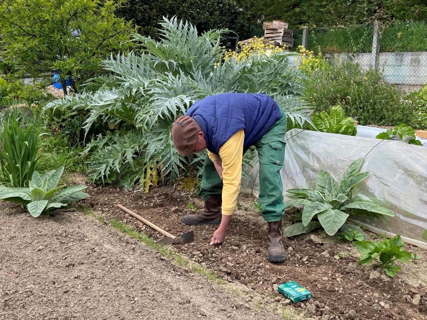 Gardens and allotments: spaces for fostering positive emotions towards ...
