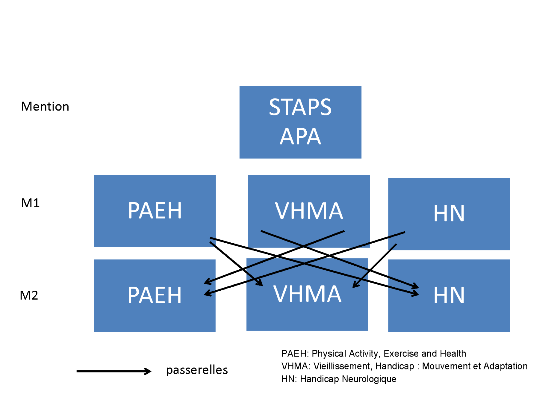Stage Staps Stage Staps Apa | Apa Staps Métier – UMMLR