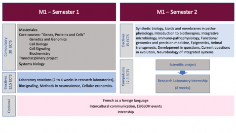 https://www.universite-paris-saclay.fr/sites/default/files/styles/466xauto/public/media/2021-09/diapositive2.png?itok=rcZXLEJK