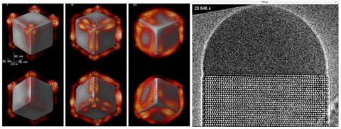 Three-dimensional vectorial imaging of surface phonon polaritons (left) - In situ observation of GaAs nanowire growth in a transmission electron microscope (right)