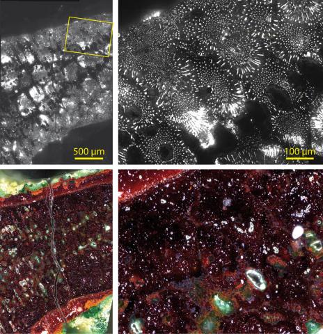 Images comparées de photoluminescence à haute dynamique spatiale et de microscopie optique. © T. SEVERIN-FABIANI / M. THOURY / L. BERTRAND / B. MILLE / IPANEMA CNRS MCC UVSQ / Synchrotron SOLEIL / C2RMF CNRS Photothèque