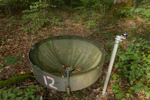 La station de recherche forestière de Barbeau