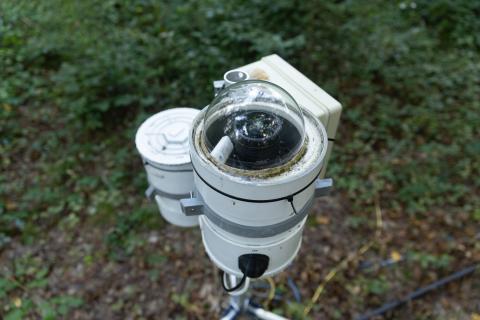 La station de recherche forestière de Barbeau