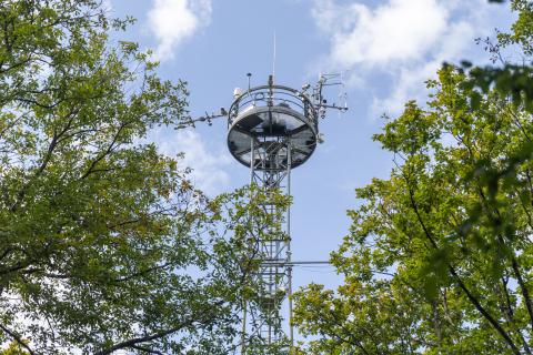 La station de recherche forestière de Barbeau