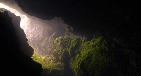 image-batiment-nature4