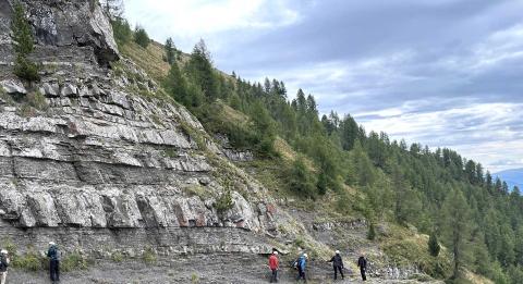 image-nature-5