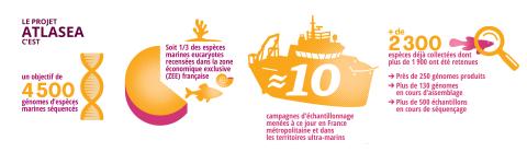 Le projet ATLASea en chiffres