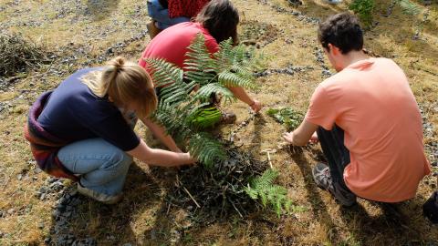 Etudiants_stage_foret