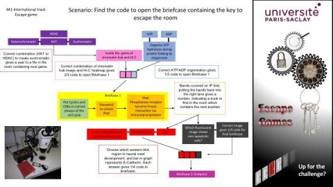  Biochimie et biophysique des membranes : Aspects structuraux et  fonctionnels - Shechter, Emmanuel - Livres