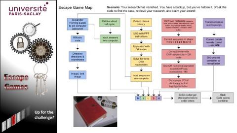 https://www.universite-paris-saclay.fr/sites/default/files/styles/large/public/media/2020-02/escape-game-organisation.jpg?itok=vUHEH5pz