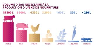 Volume nécessaire en eau pour produite 1kg de nourriture