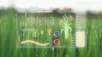 Modèles de prédictions pour l'agriculture