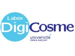 logo Digicosme