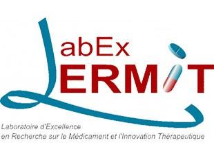 logo Labex Lermit