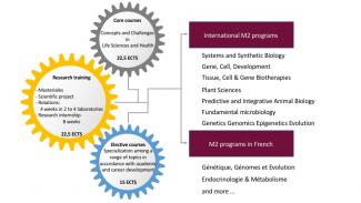 M1 Life Sciences And Health International Track France