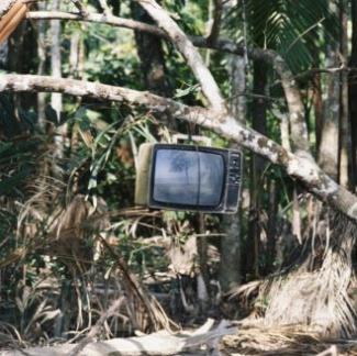 image-tv-jungle