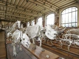 Museum national d'histoire naturelle