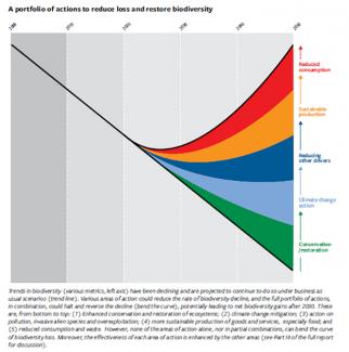 Trends in biodiversity and actions that could reduce the rate of its decline
